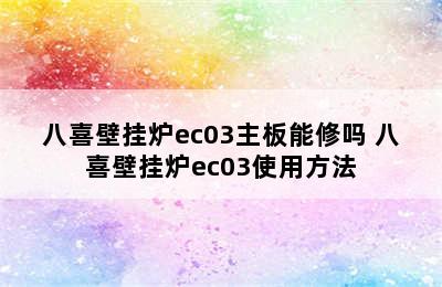 八喜壁挂炉ec03主板能修吗 八喜壁挂炉ec03使用方法